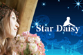 Star Daisy
